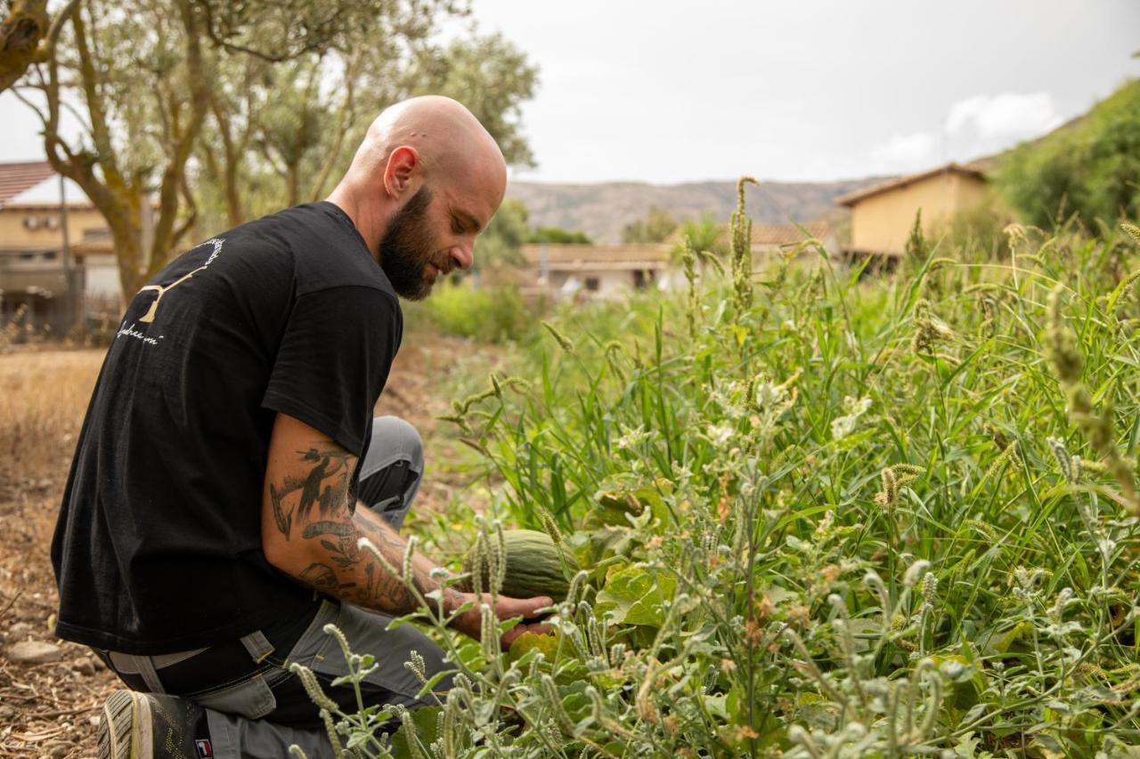 Pardu Atzei Agriturismo Casa Marmida מראה חיצוני תמונה
